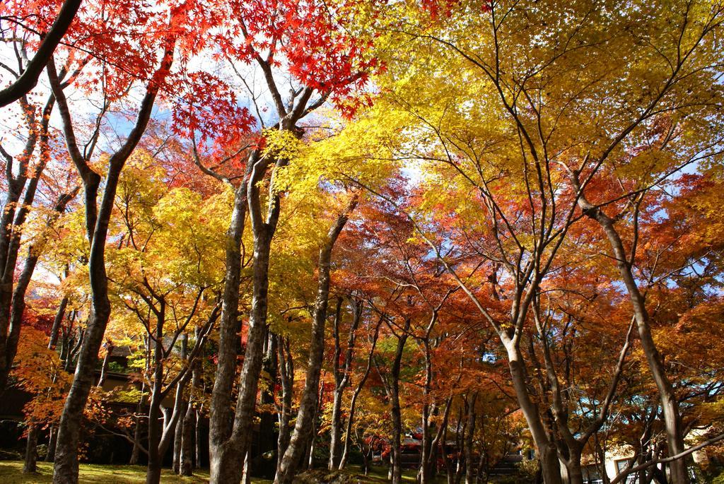 Yutorelo-An Annex Hakone Eksteriør billede